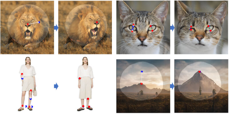 如何安装和使用DragGAN?在线和本地运行的4种方法